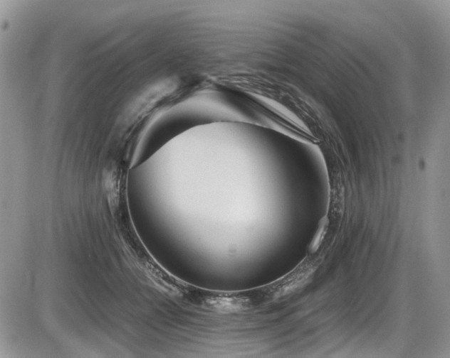 X0000086090558200703231433
