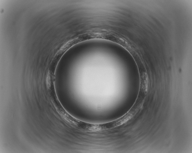 X0000086090562200703231433