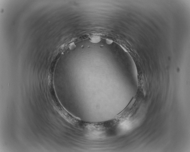 X0000086090568200703231433