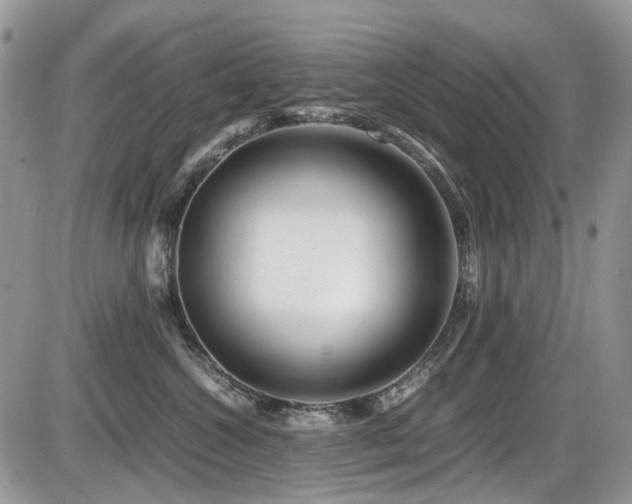 X0000086090572200703231433