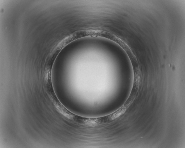 X0000086090574200703231433