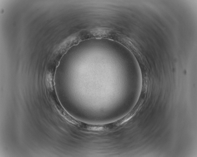 X0000086090575200703231433