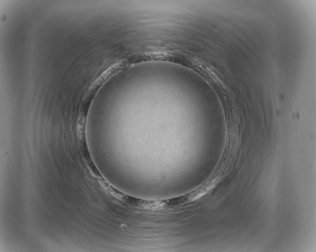 X0000086090576200703231433
