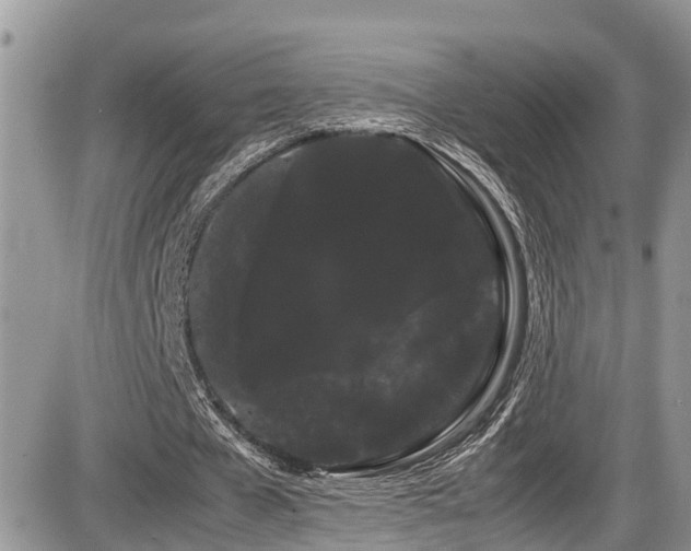 X0000086090577200703231432