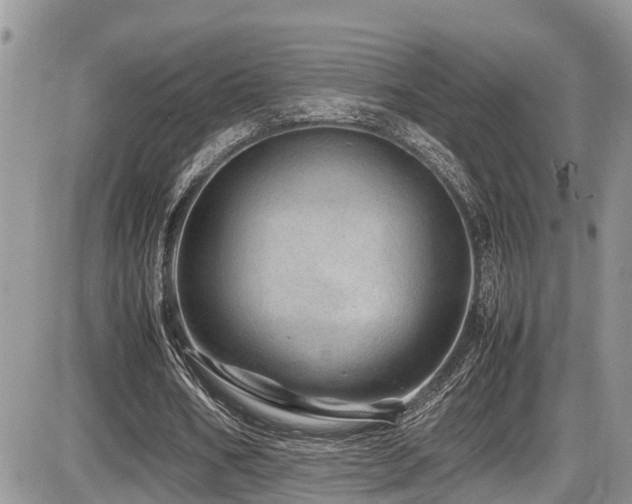 X0000086090578200703231432
