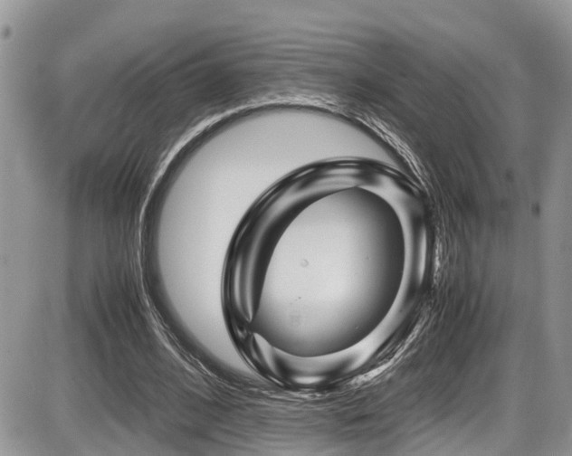 X0000086090584200703231432