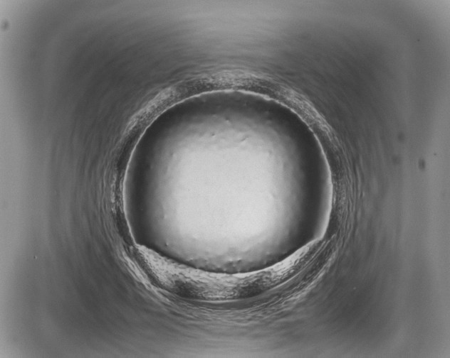 X0000086090585200703231432