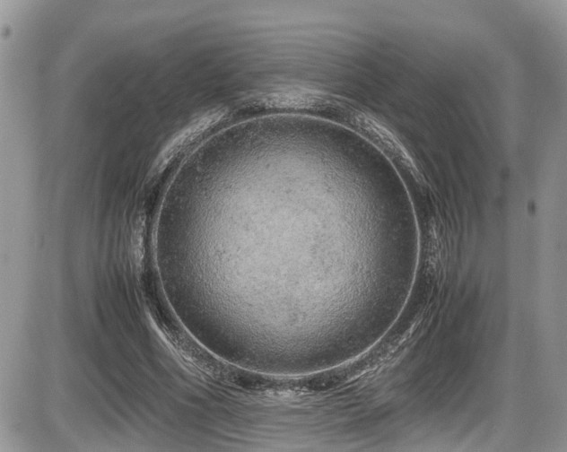 X0000086090586200703231432