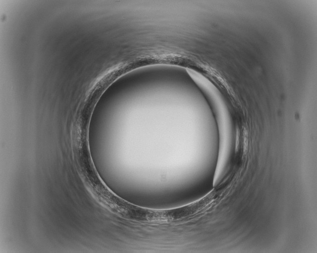 X0000086090587200703231432