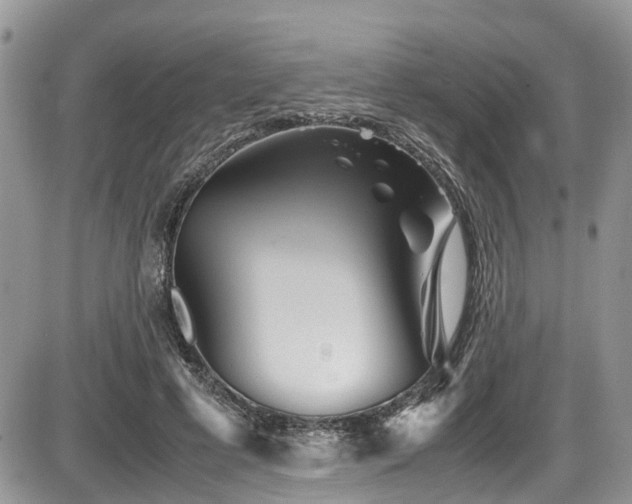 X0000086090593200703231432