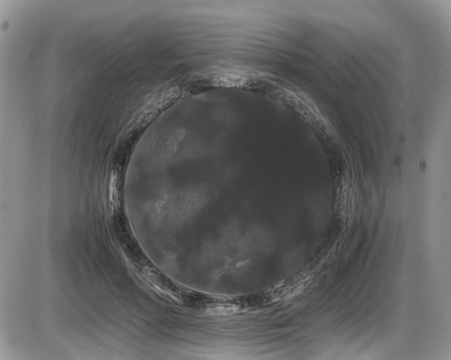 X0000086090598200703231432