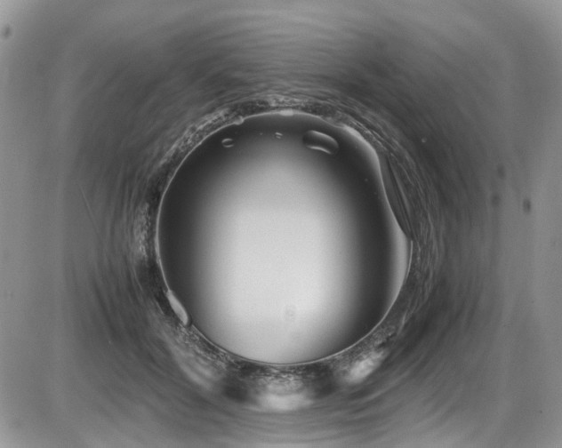 X0000086090604200703231432