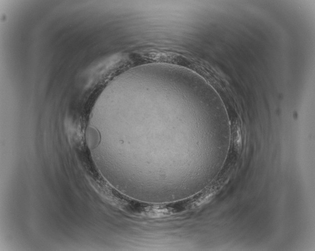 X0000086090607200703231432