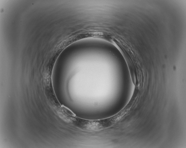 X0000086090609200703231432