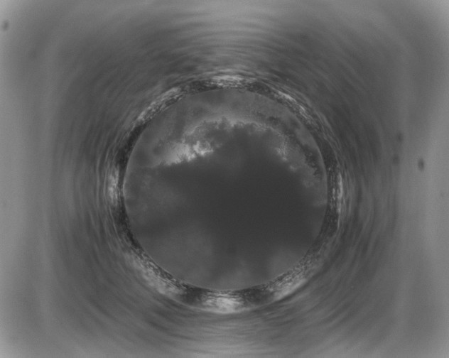X0000086090610200703231432