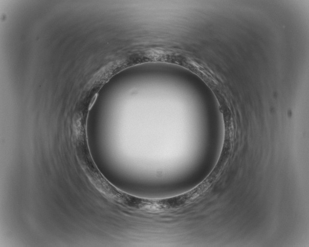 X0000086090611200703231432