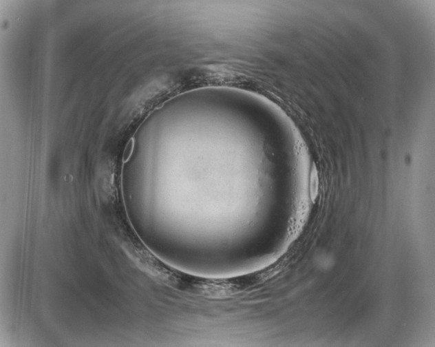 X0000086090615200703231432
