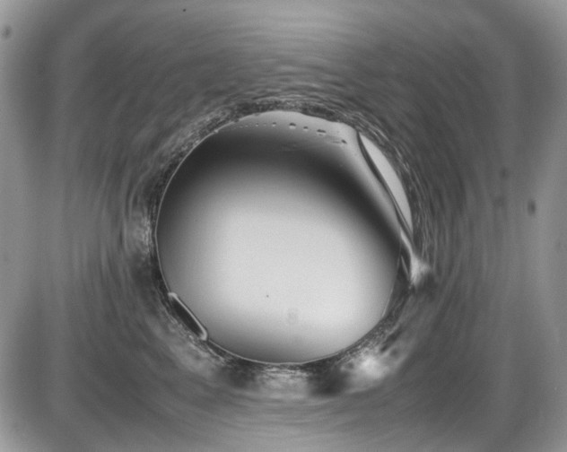 X0000086090617200703231432
