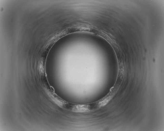 X0000086090622200703231432