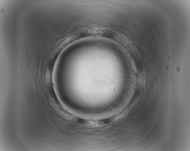 X0000086090623200703231432