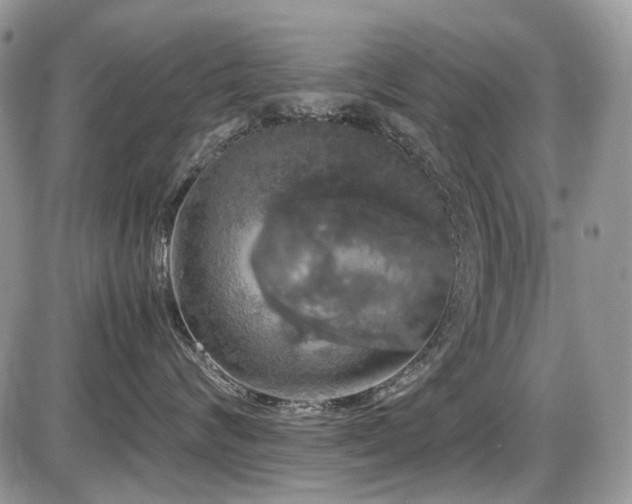 X0000086090624200703231432
