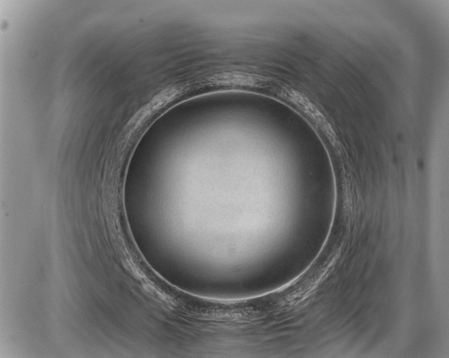 X0000086090625200703231431