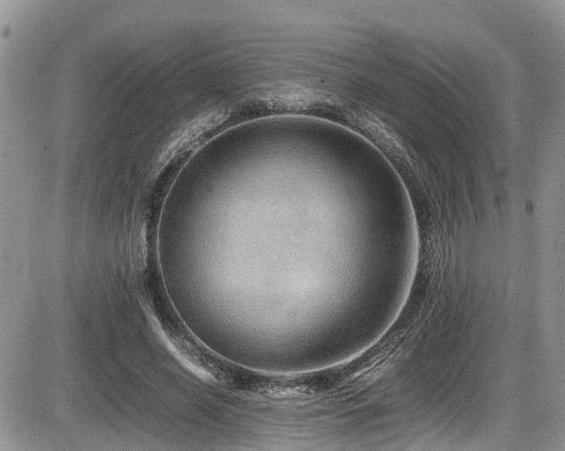 X0000086090638200703231431