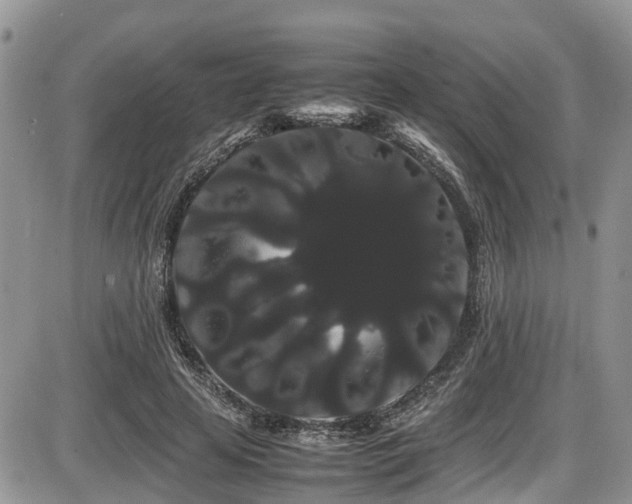 X0000086090641200703231431