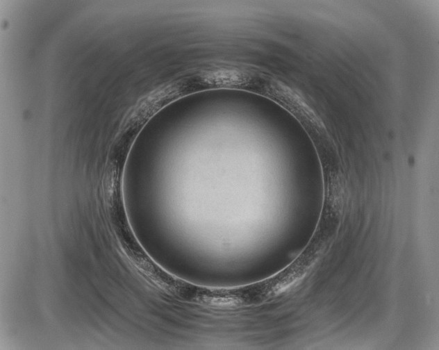X0000086090645200703231431