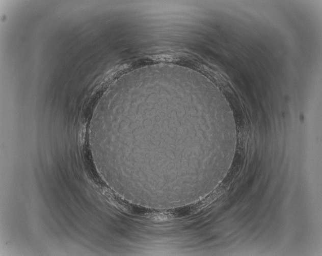 X0000086090652200703231431
