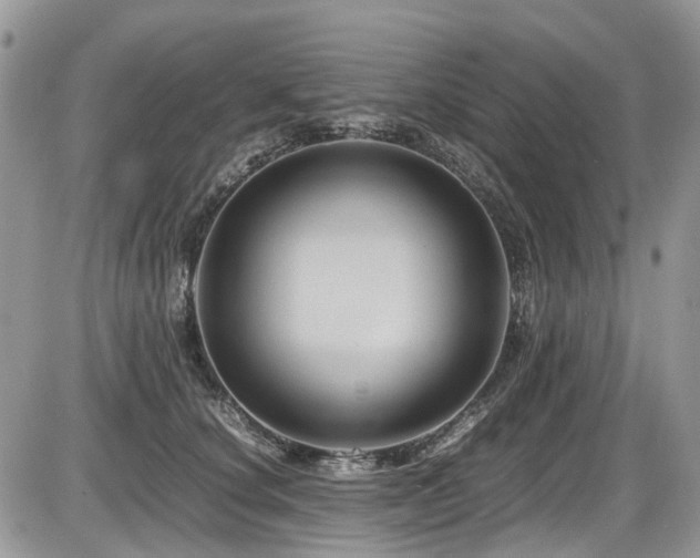 X0000086090660200703231431