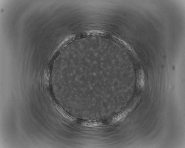 X0000086090661200703231431