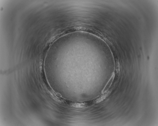 X0000086090664200703231432