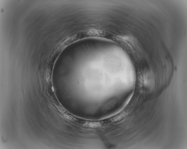X0000086090665200703231432