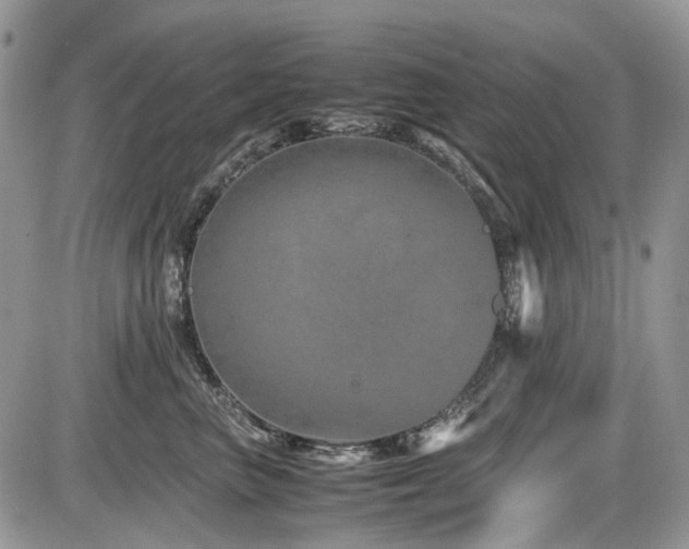 X0000086090667200703231432