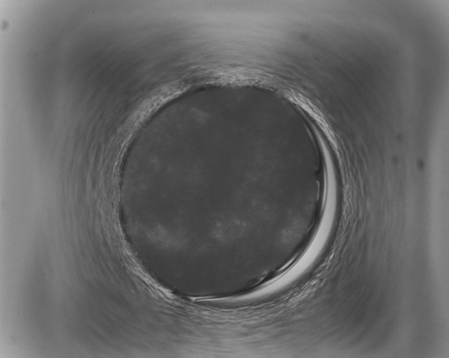 X0000086090673200703231431