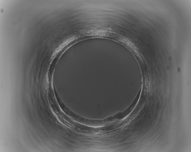 X0000086090674200703231431