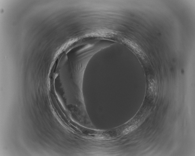 X0000086090678200703231431