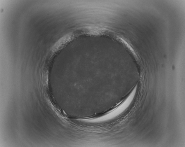X0000086090685200703231431
