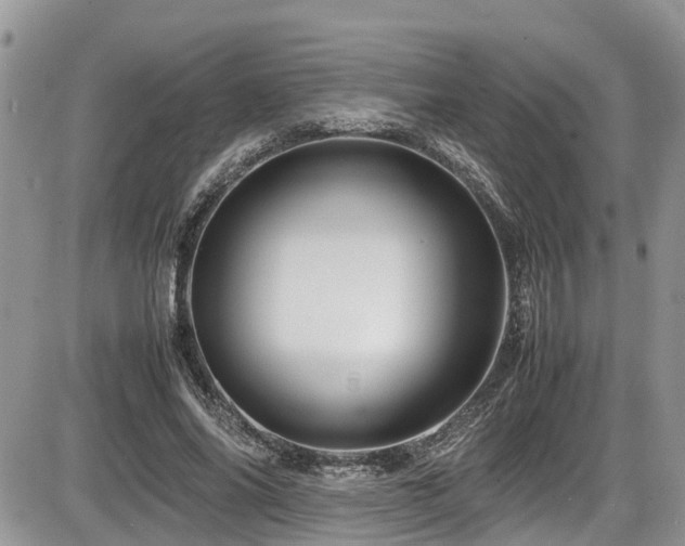 X0000086090686200703231431