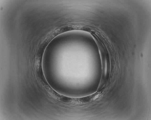 X0000086090697200703231430