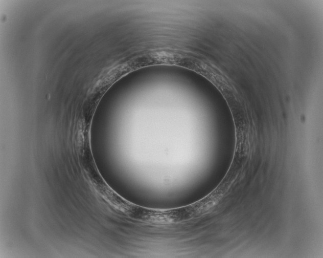 X0000086090702200703231430