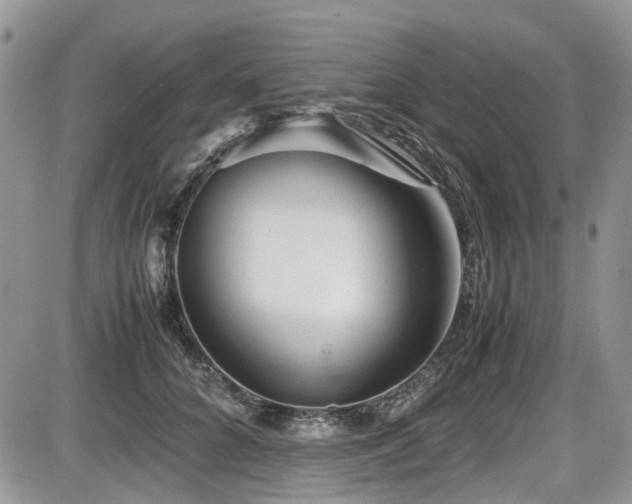 X0000086090704200703231430