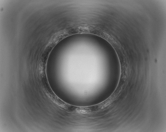 X0000086090706200703231430