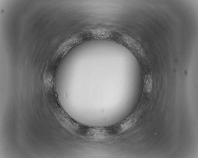 X0000086090713200703231430