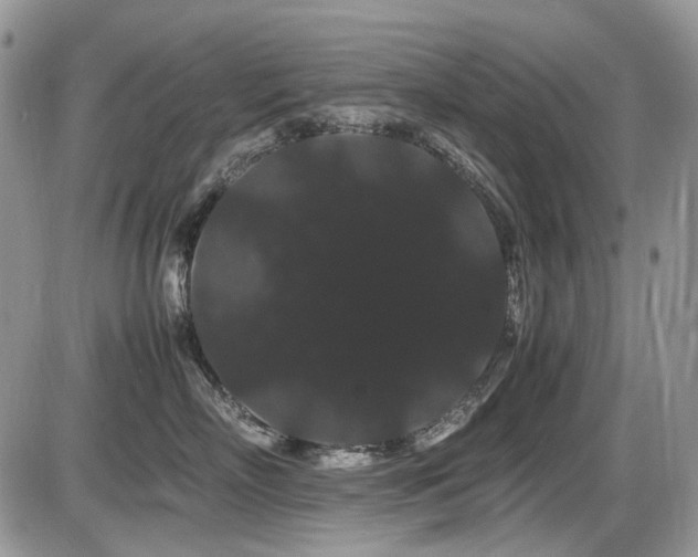 X0000086090718200703231430