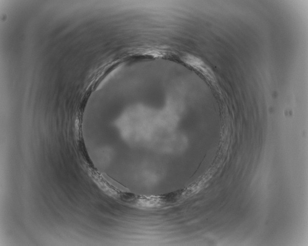 X0000086090720200703231430