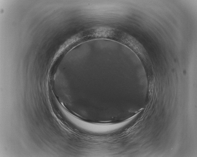 X0000086090722200703231429