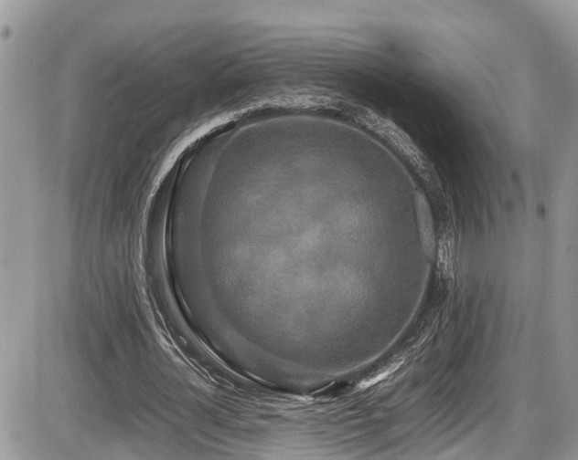 X0000086090724200703231429