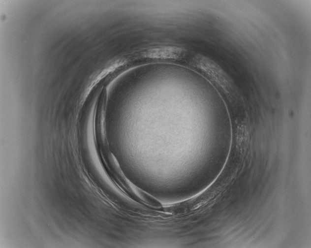 X0000086090727200703231429
